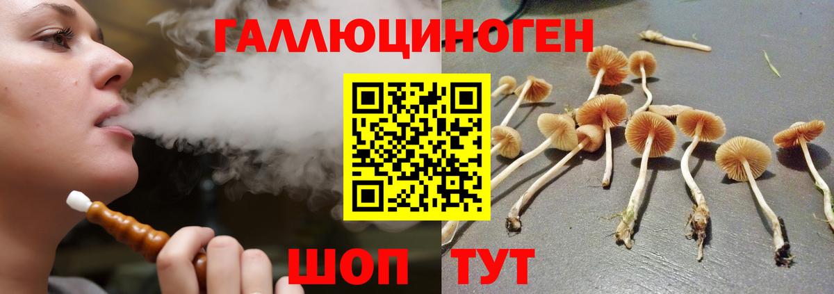 Галлюциногенные грибы GOLDEN TEACHER  Вход с VPN  Кинель 